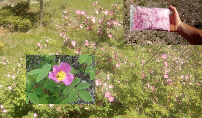 Screen Shot 2013-07-03 at 8.38.38 AM