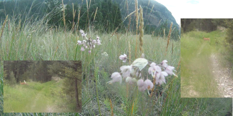 Screen Shot 2013-07-05 at 7.11.59 AM