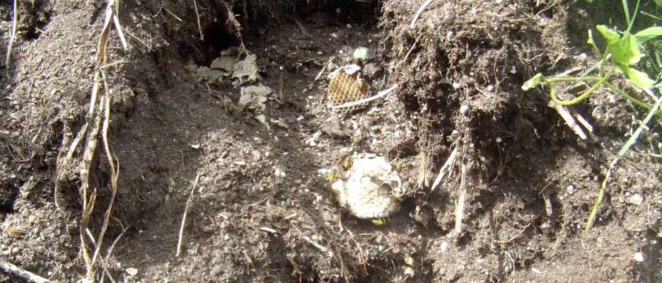 Screen Shot 2013-07-08 at 7.23.47 AM