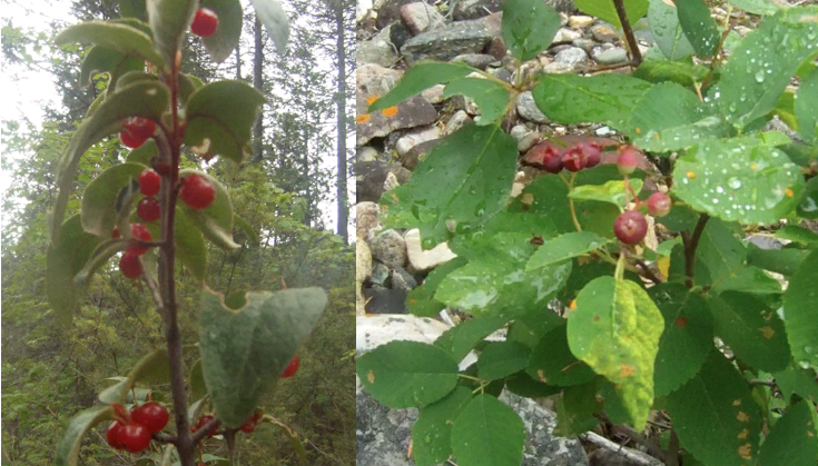 Screen Shot 2013-07-09 at 8.21.57 AM