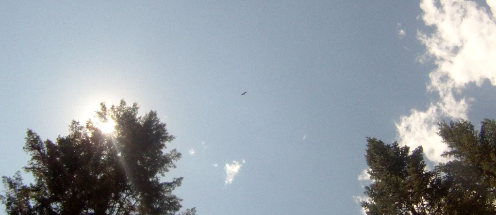 Screen Shot 2013-07-11 at 8.47.36 AM