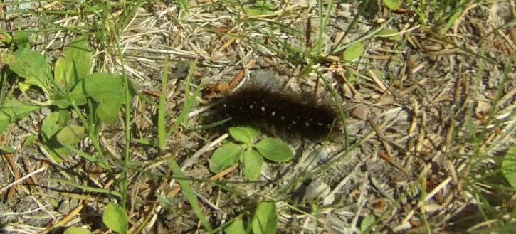 Screen Shot 2013-07-12 at 8.43.16 AM