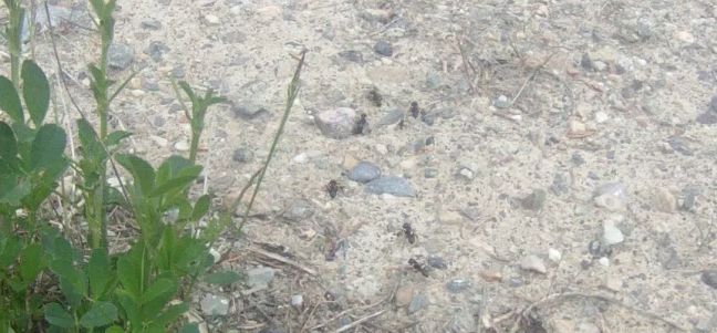 Screen Shot 2013-07-16 at 8.16.35 AM