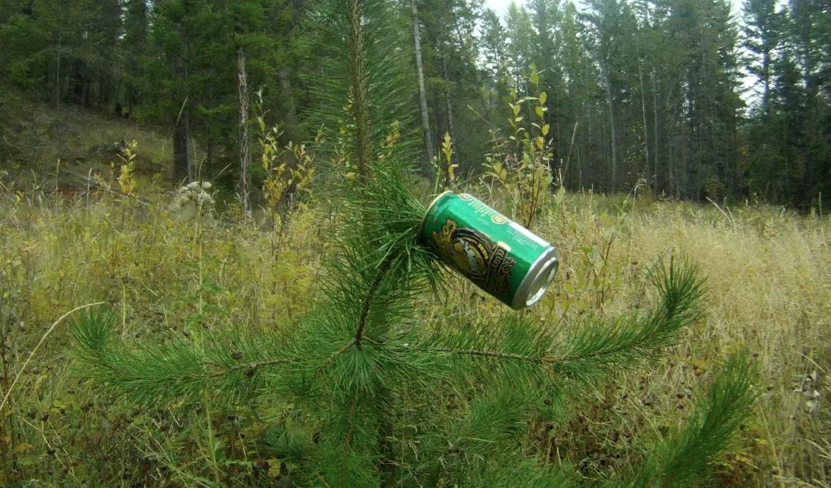 Screen Shot 2013-10-11 at 8.14.18 AM