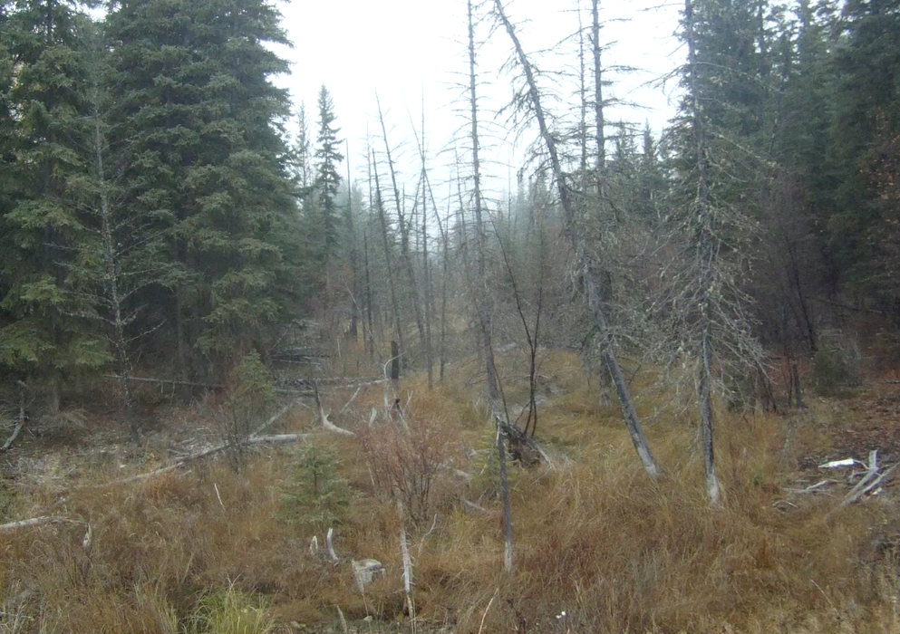 Screen Shot 2013-10-24 at 9.08.28 AM