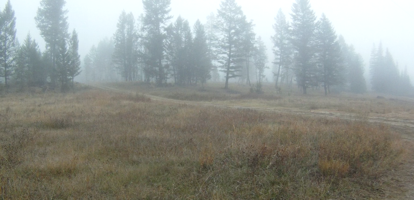 Screen Shot 2013-10-24 at 9.10.23 AM