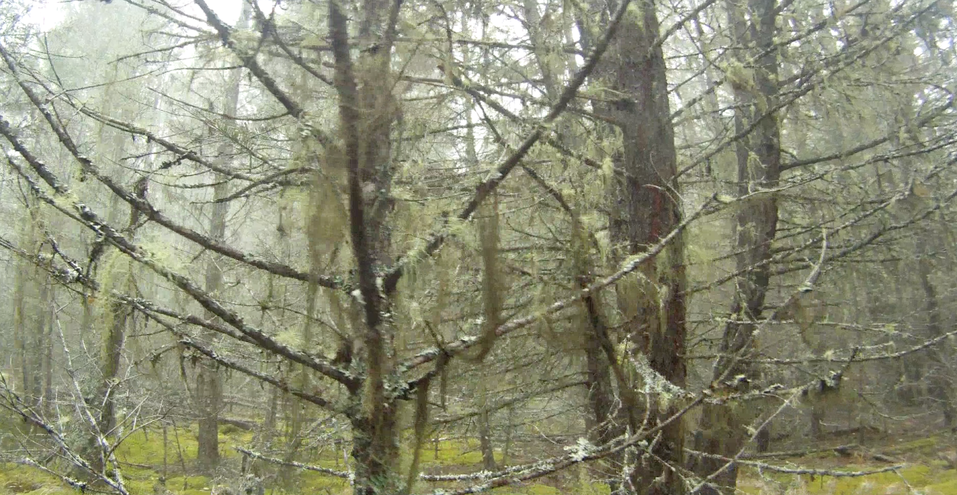 Screen Shot 2013-10-26 at 9.18.26 AM