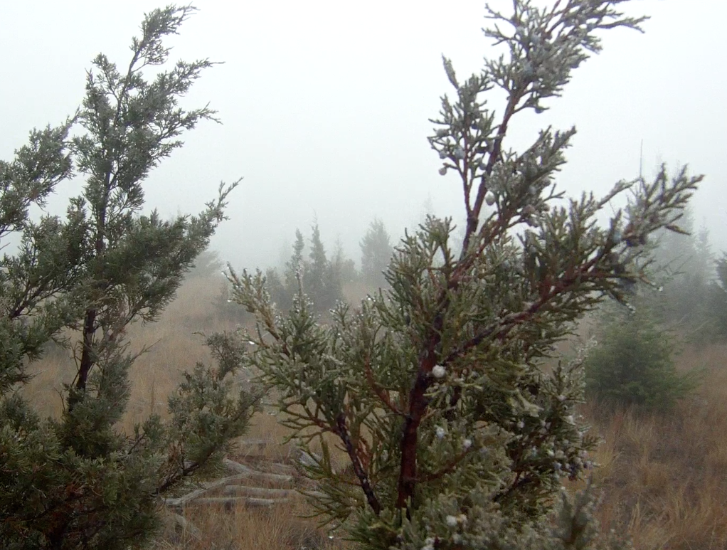 Screen Shot 2013-10-28 at 9.33.06 AM