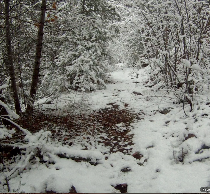 Screen Shot 2013-11-04 at 3.13.07 PM