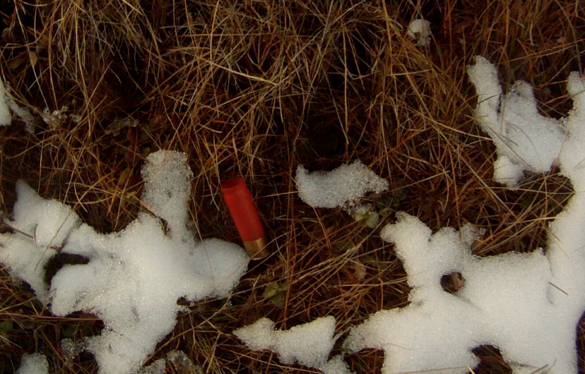 Screen Shot 2013-11-14 at 9.05.36 AM