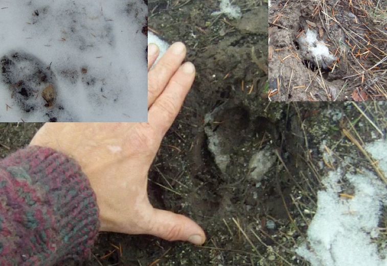 Screen Shot 2013-11-15 at 9.30.01 AM