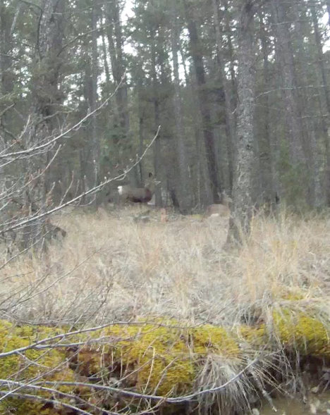 Screen Shot 2013-11-16 at 9.07.39 AM