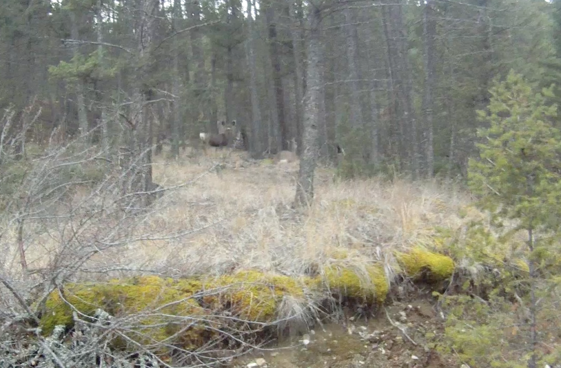 Screen Shot 2013-11-16 at 9.09.08 AM