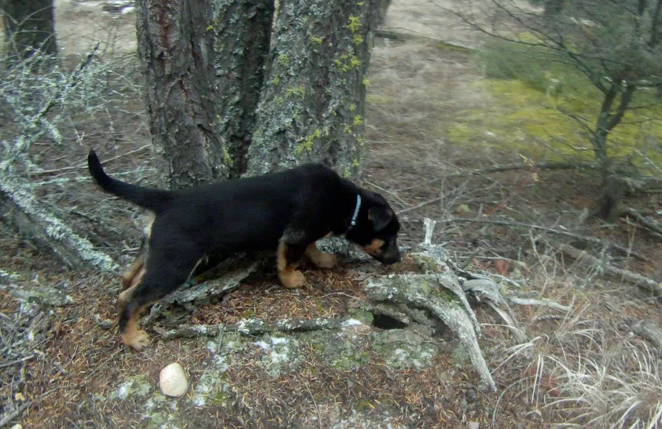 Screen Shot 2013-11-18 at 1.03.27 PM