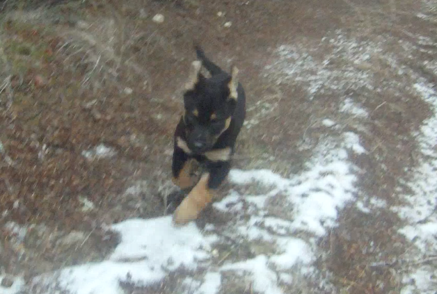 Screen Shot 2013-11-18 at 1.05.31 PM