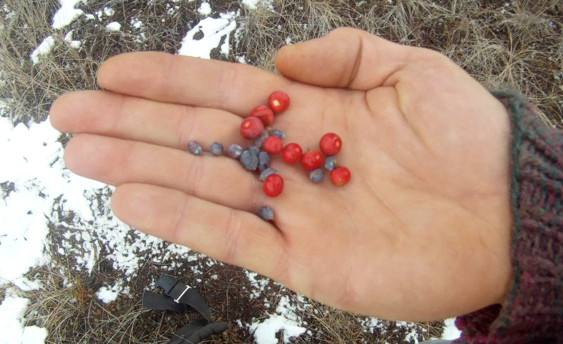 Screen Shot 2013-11-18 at 9.04.44 AM