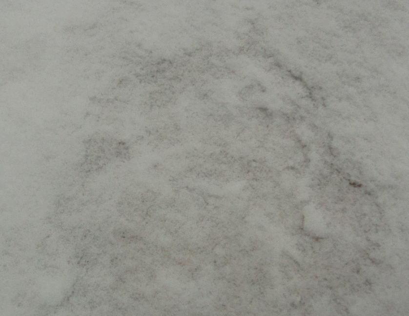 Screen Shot 2013-11-18 at 9.07.41 AM