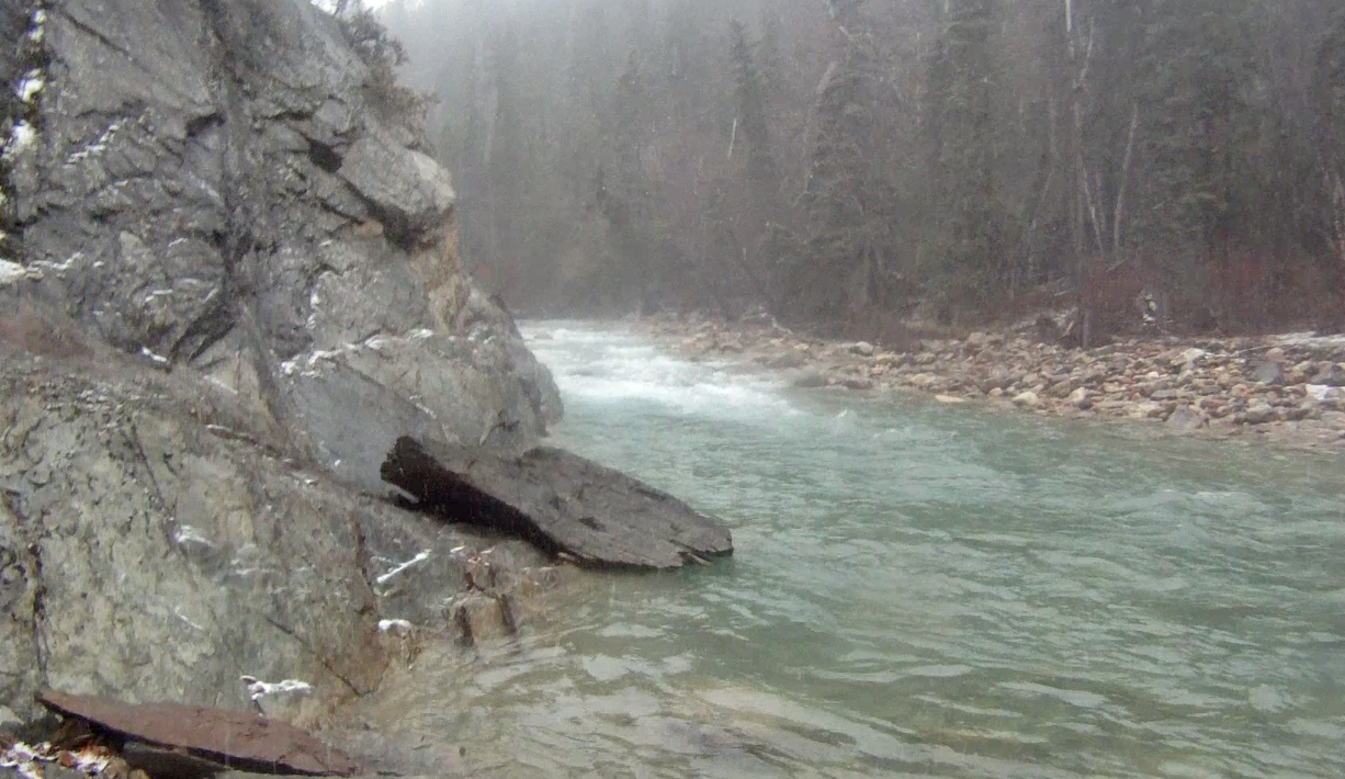 Screen Shot 2013-11-20 at 8.31.37 AM