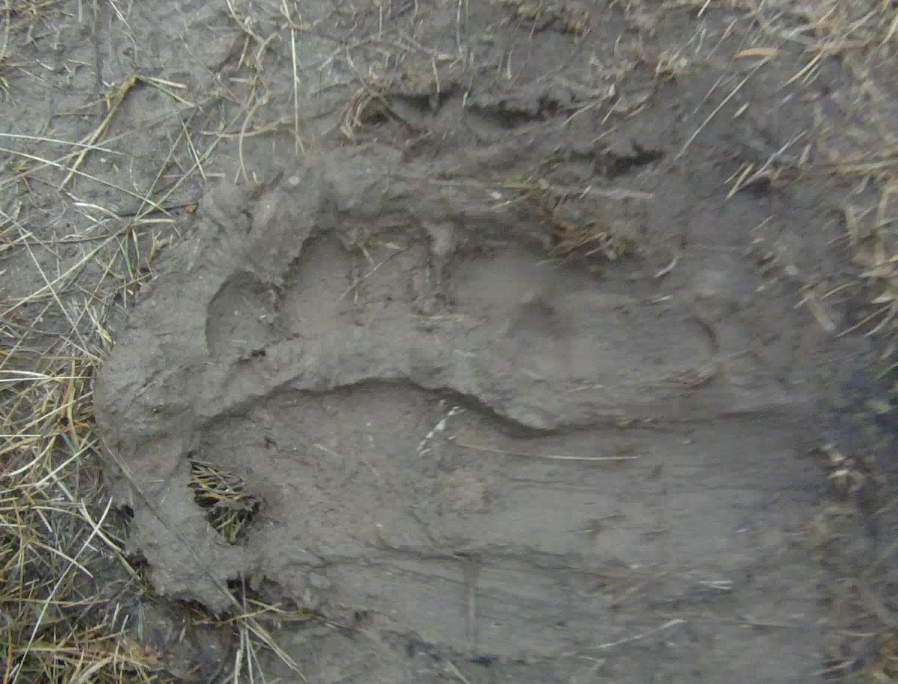 Screen Shot 2013-11-20 at 8.33.33 AM