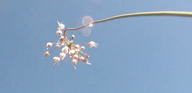 Screen Shot 2013-09-23 at 8.05.19 PM