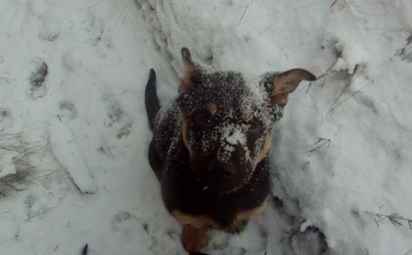 Screen Shot 2013-12-03 at 2.45.10 PM