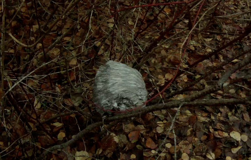 Screen Shot 2013-12-11 at 8.34.14 AM