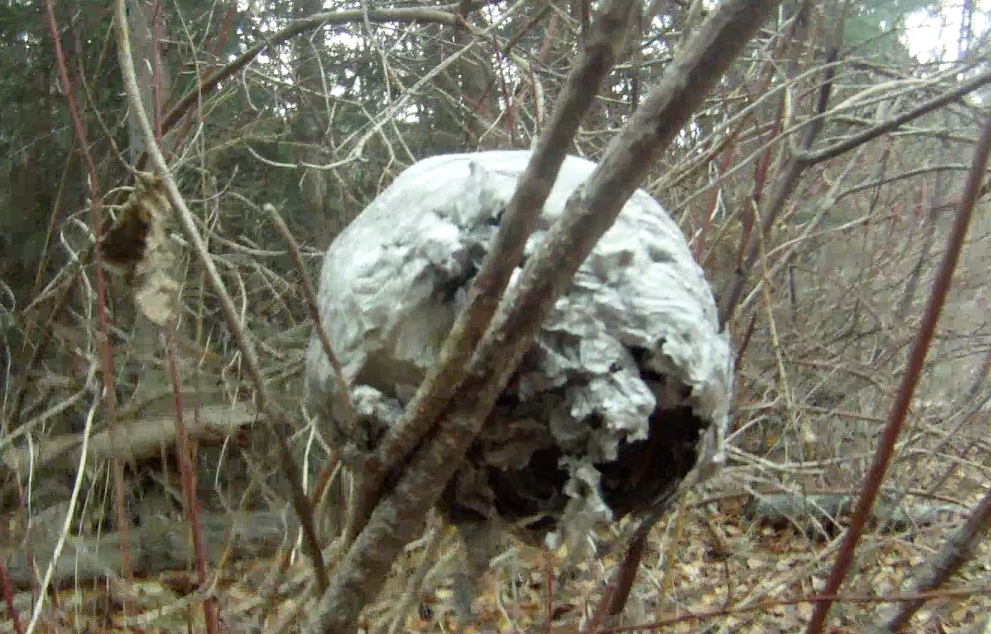 Screen Shot 2013-12-11 at 8.36.01 AM