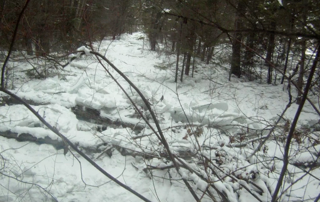 Screen Shot 2013-12-13 at 9.14.26 AM