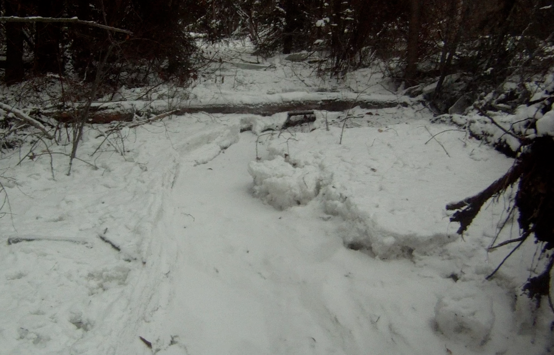 Screen Shot 2013-12-13 at 9.15.15 AM