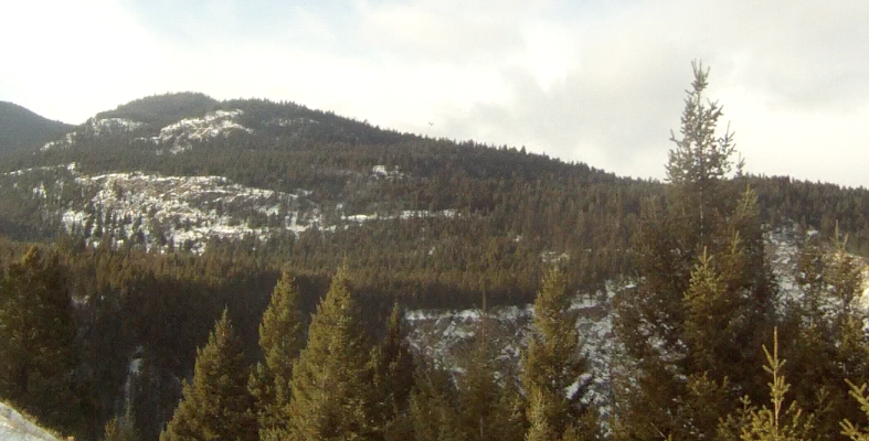 Screen Shot 2013-12-19 at 9.12.27 AM