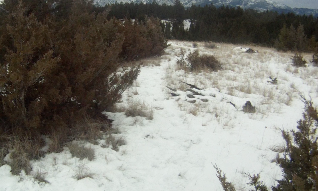 Screen Shot 2013-12-19 at 9.13.40 AM