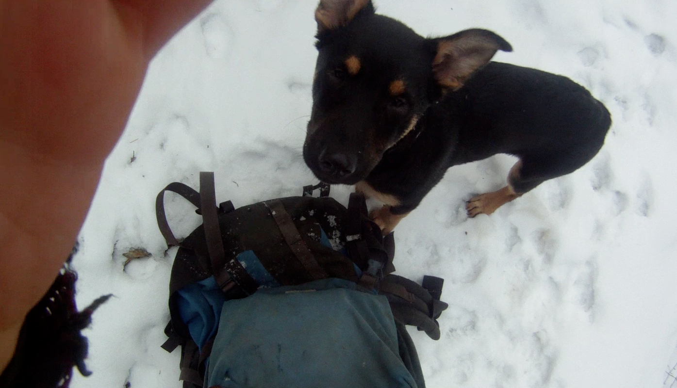 Screen Shot 2014-01-02 at 7.03.03 PM