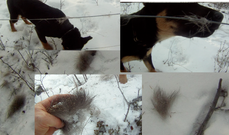 Screen Shot 2014-01-06 at 9.43.20 AM