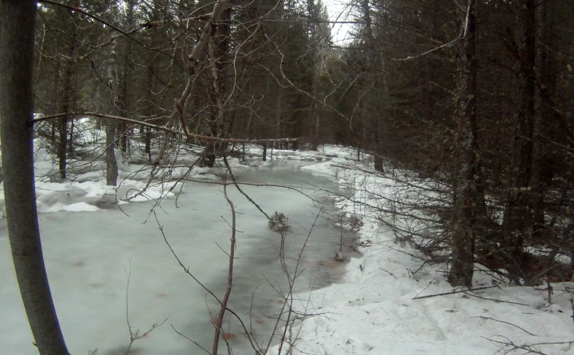 Screen Shot 2014-01-09 at 9.51.17 AM