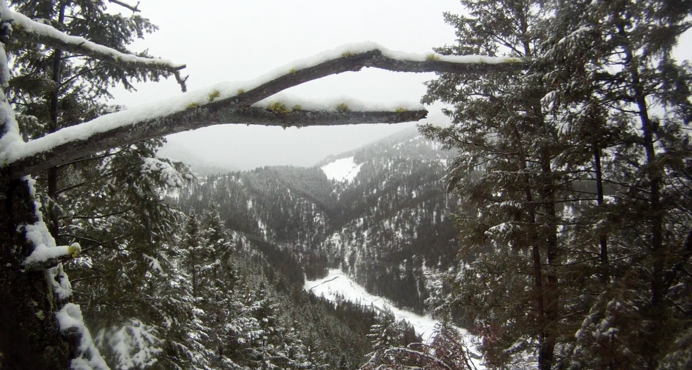 Screen Shot 2014-01-11 at 4.31.46 PM