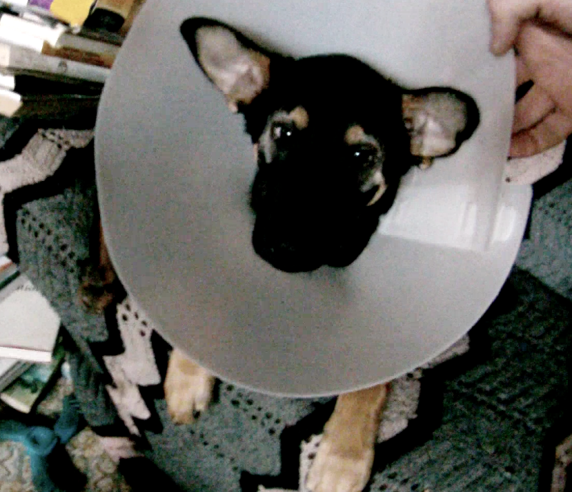 Screen Shot 2014-01-14 at 2.23.06 PM