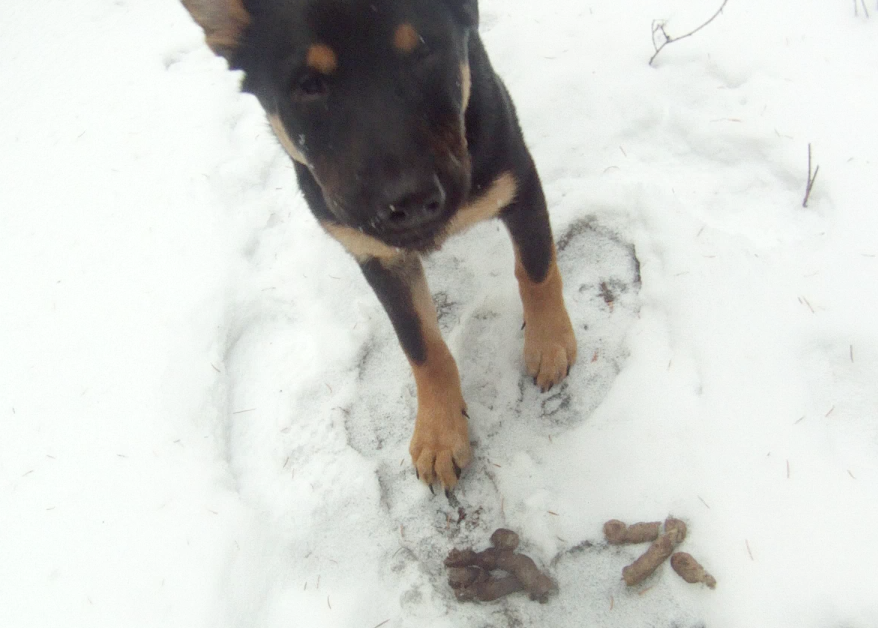 Screen Shot 2014-01-16 at 8.47.29 AM