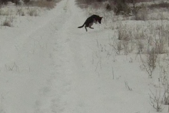 Screen Shot 2014-01-20 at 8.47.31 AM