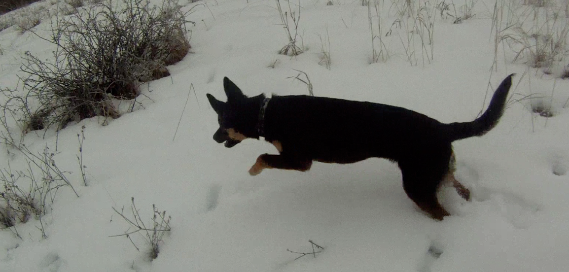 Screen Shot 2014-01-20 at 8.49.38 AM