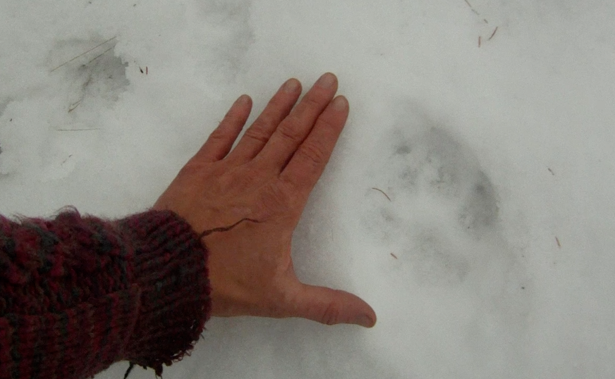 Screen Shot 2014-01-22 at 8.28.28 AM