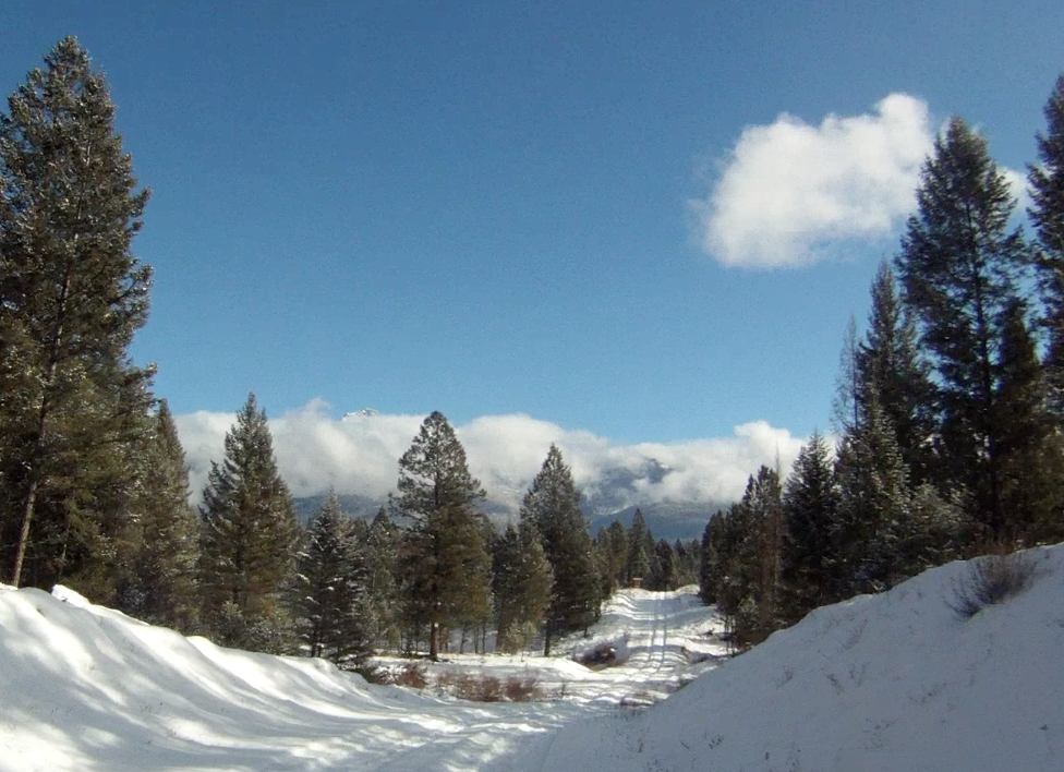 Screen Shot 2014-01-30 at 8.16.14 AM