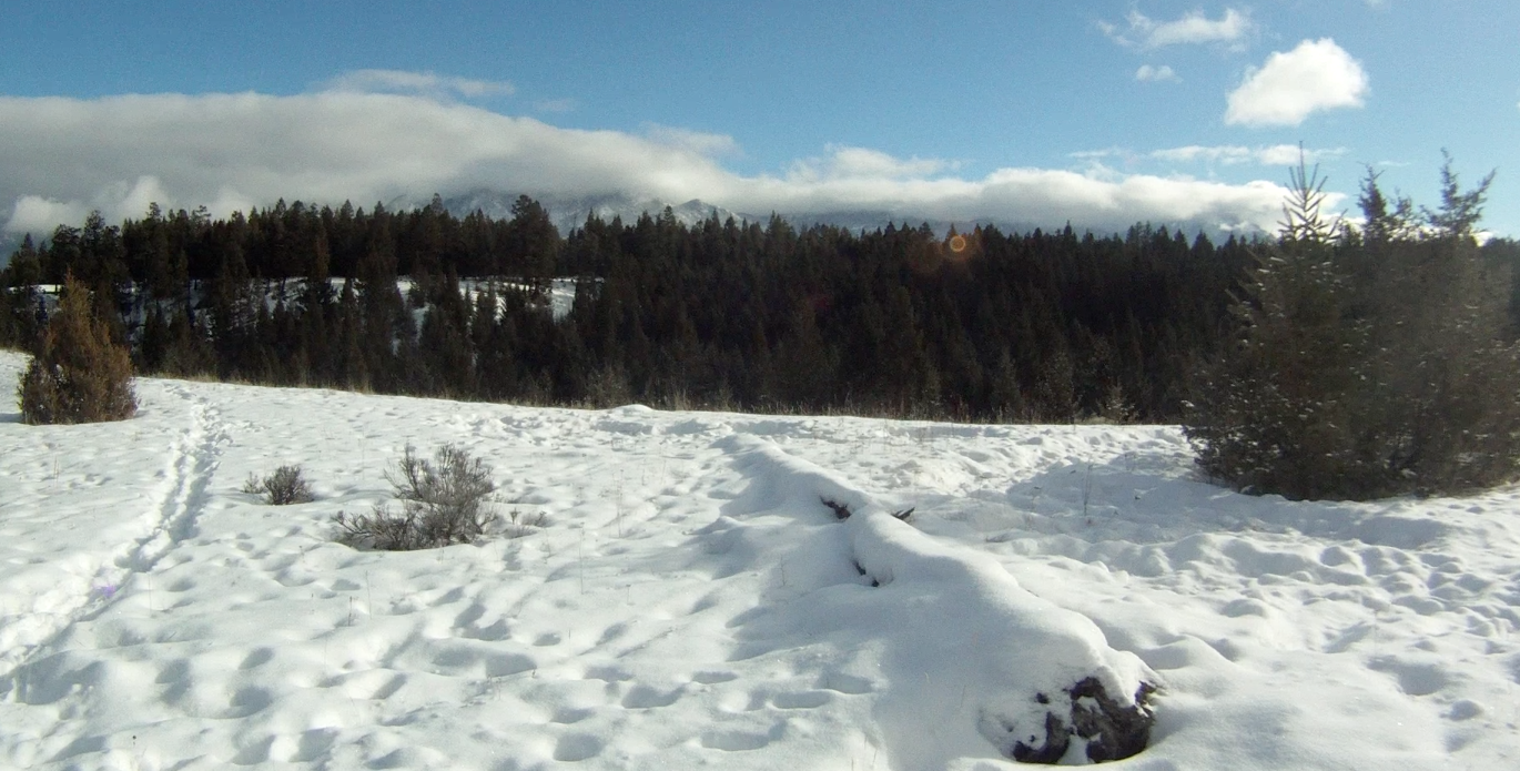 Screen Shot 2014-01-30 at 8.18.05 AM