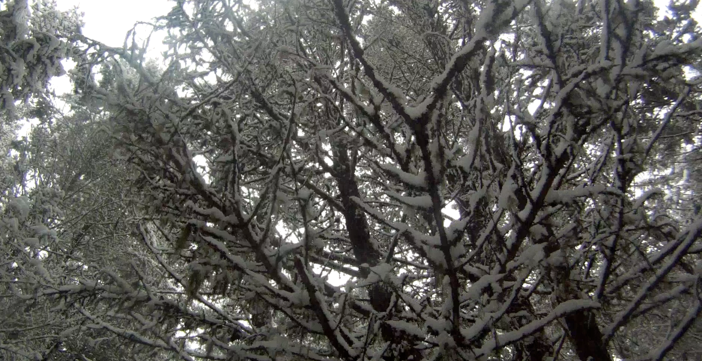 Screen Shot 2014-02-01 at 9.48.09 AM