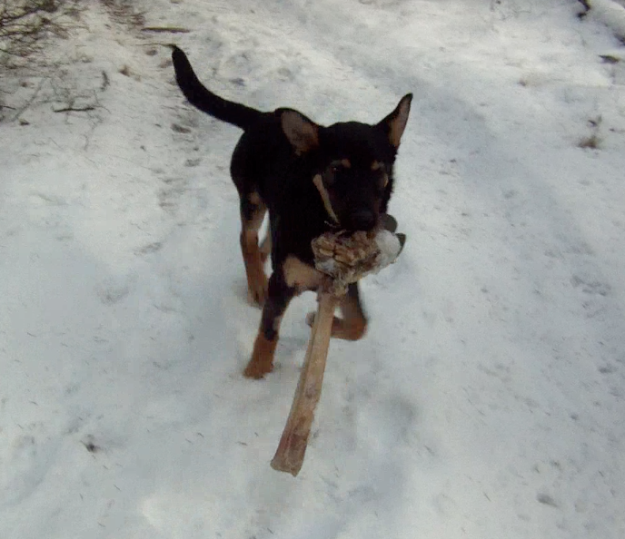 Screen Shot 2014-02-06 at 10.29.27 AM