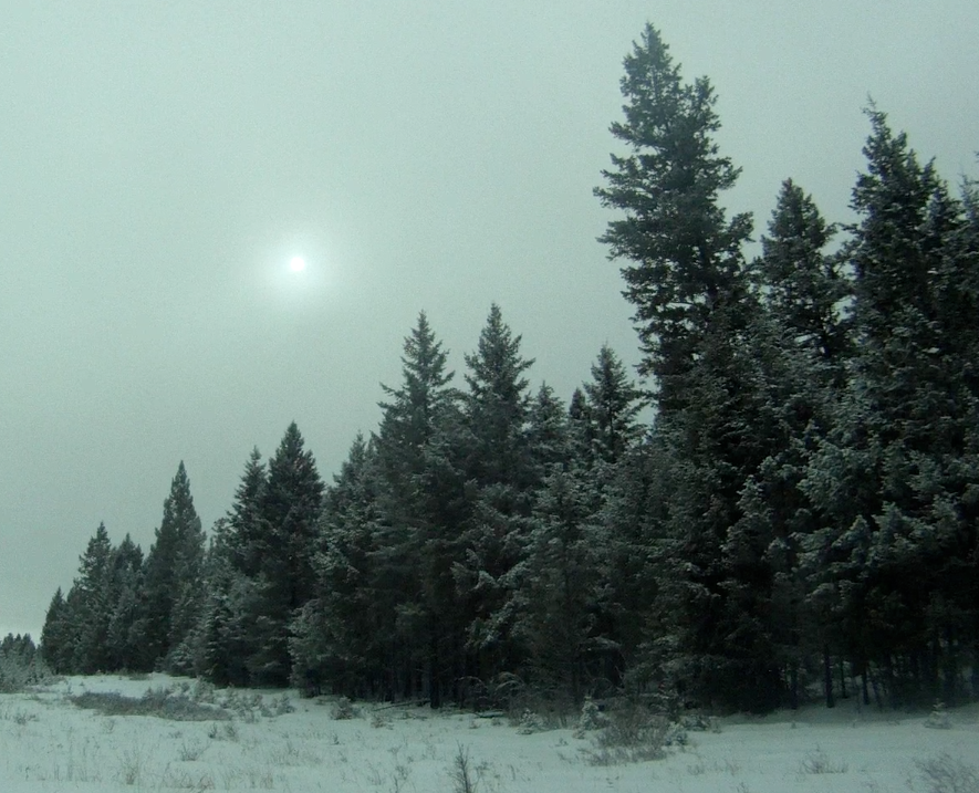 Screen Shot 2014-02-14 at 8.35.40 AM