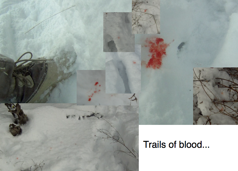 Screen Shot 2014-02-19 at 8.16.31 AM