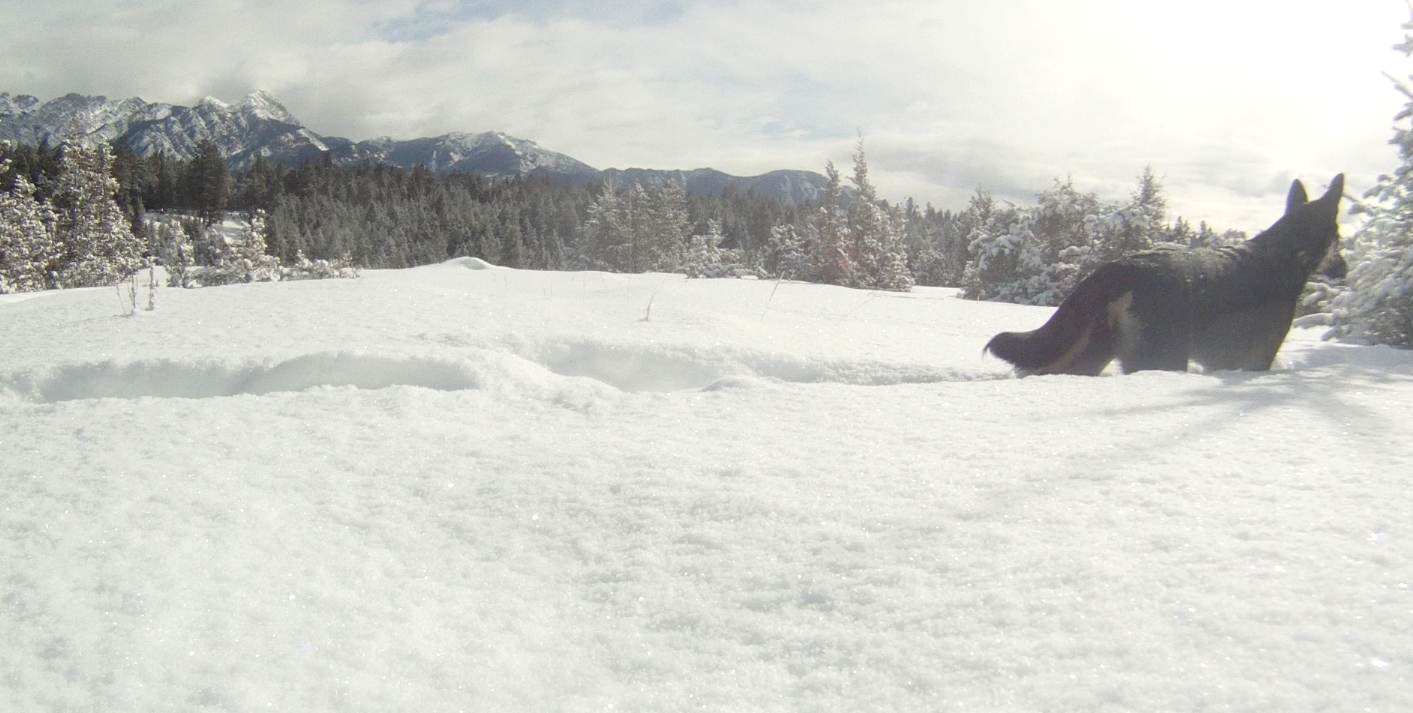 Screen Shot 2014-02-22 at 8.42.26 AM