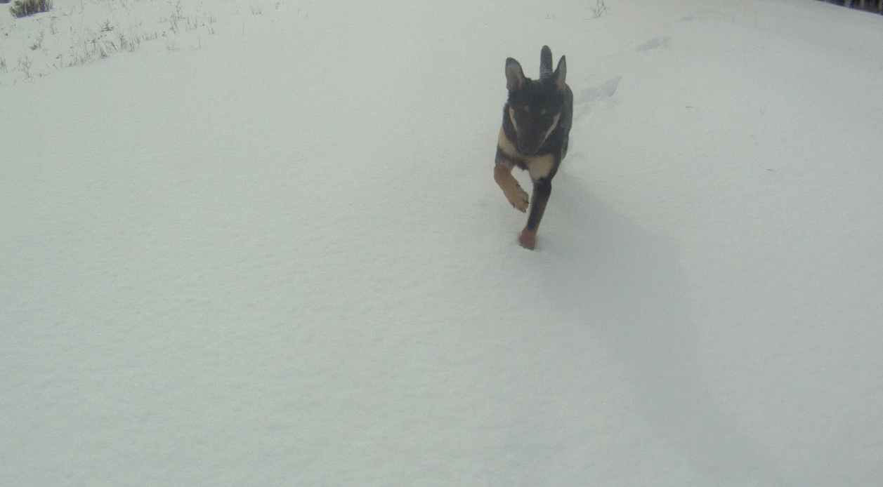 Screen Shot 2014-02-22 at 8.44.36 AM