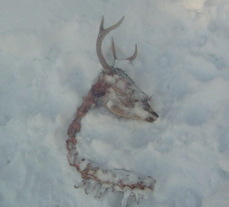 Screen Shot 2014-02-25 at 5.36.40 PM