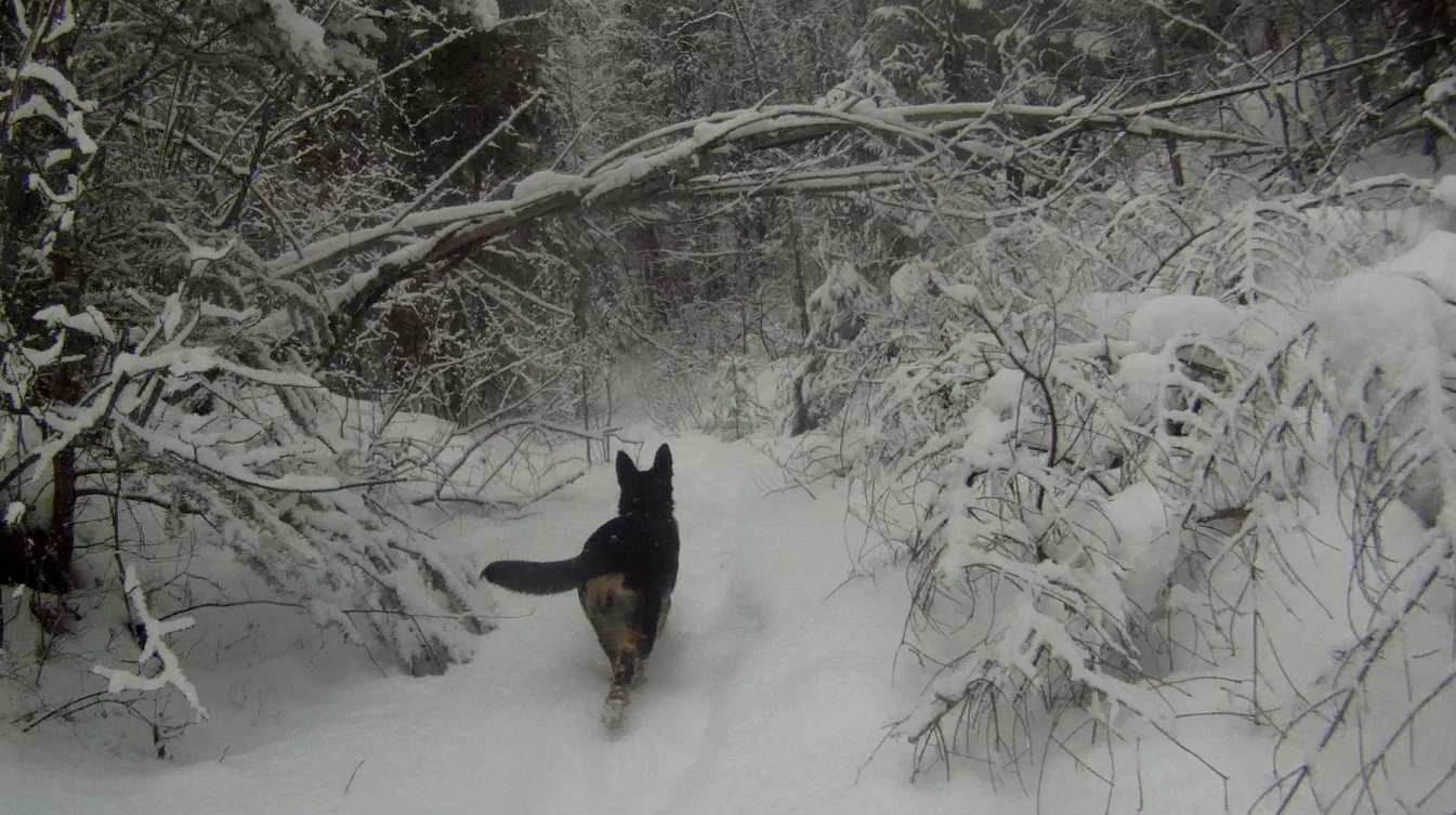 Screen Shot 2014-03-04 at 8.42.26 AM